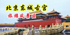 黑人大鸡巴操比视频日出白浆中国北京-东城古宫旅游风景区